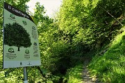 22 Sul sentiero 'La via delle castagne